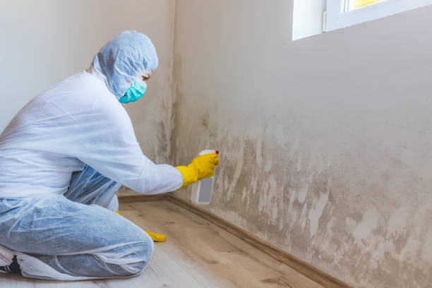 Commercial Mold Remediation assessment for commercial property in Jamaica Plain